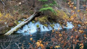 Read more about the article A Chilly Metolius River Hike