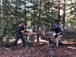 Read more about the article XC Ski Trail Maintenance — An Update from Eric Ness
